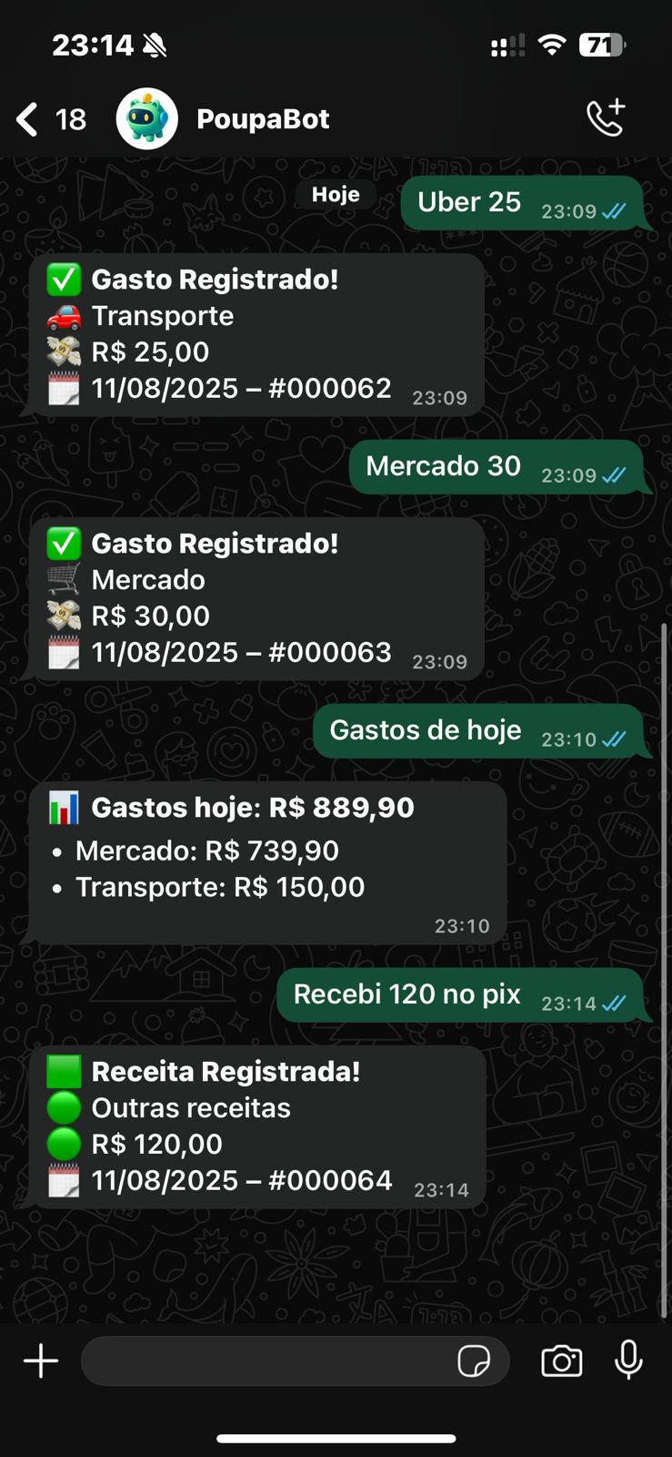 Registro de gasto via mensagem